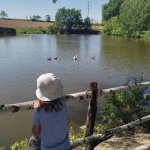 phoca_thumb_m_veverky u rybnka 10 Fotogalerie